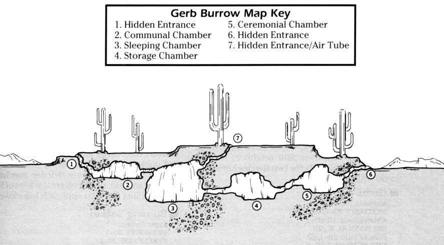 A Gerb burrow on Yavin 13