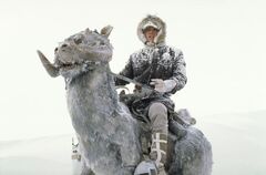 Han Solo Tauntaun