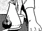 Ho'Din herbal tea