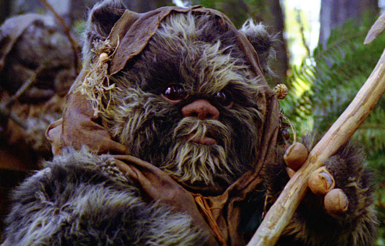 lumat ewok