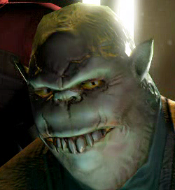 Meeko Ghintee