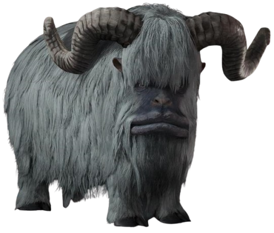 Henku appearance 