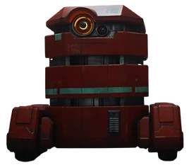 დაახლ. 24 იბ