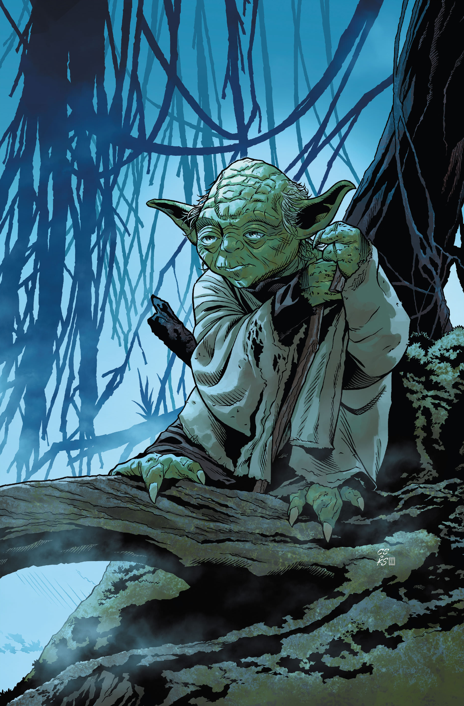 Wise yet old, Yoda spent his final years on Dagobah, training Luke Skywalker and coming to terms with his own mortality.