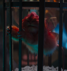 Fuzzball-caged