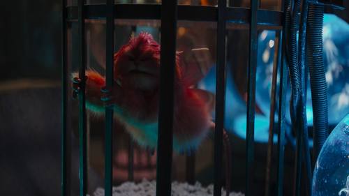 Fuzzball-caged