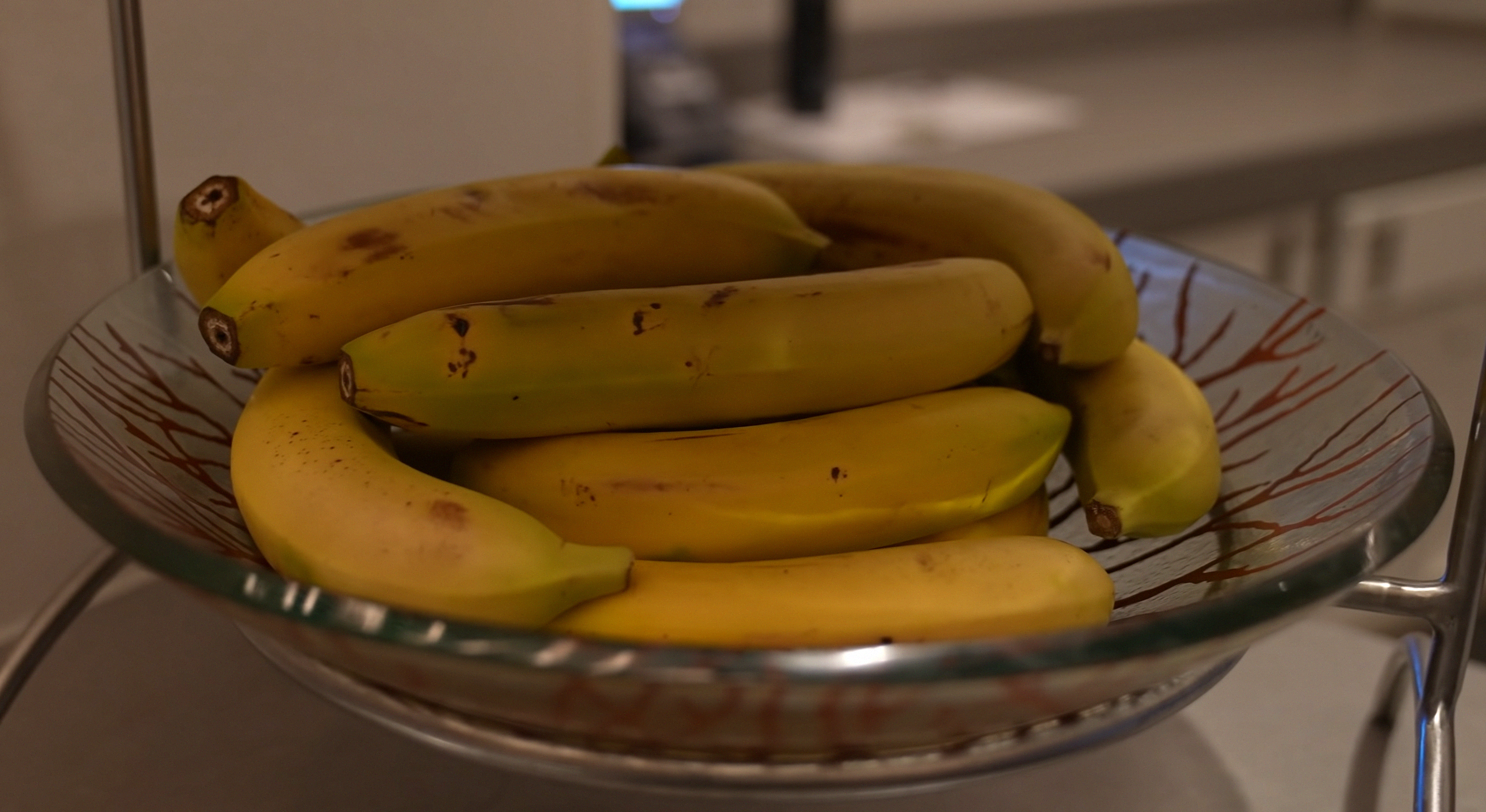 Long fruit appearance 