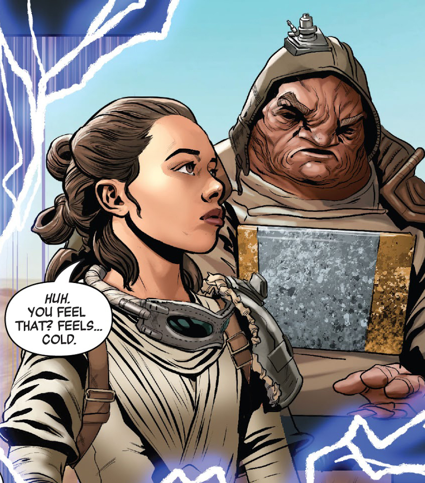 Though unaware of her connection to the Force, Rey sensed the fall of Ben Solo across the stars.