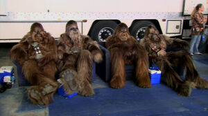 Chillin wookiees