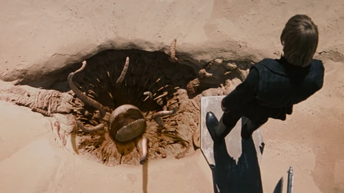 Oddities episode thumbnail