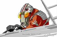 Bullhead rebel pilot