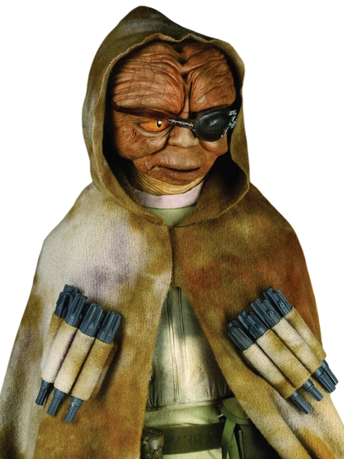 Orrimaarko | Wookieepedia | Fandom