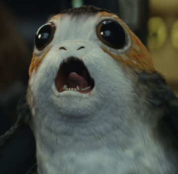 新品STAR WARS PORG☆ スター・ウォーズ  ポーグ スター・ウォーズ ギャラクシーズエッジ クリーチャー ポーグ