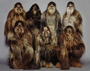 Wookiee Warriors