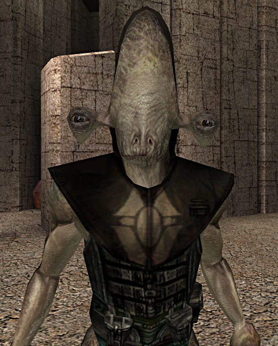 Malak and Revan were attacked by the Black Rakata on Lehon.