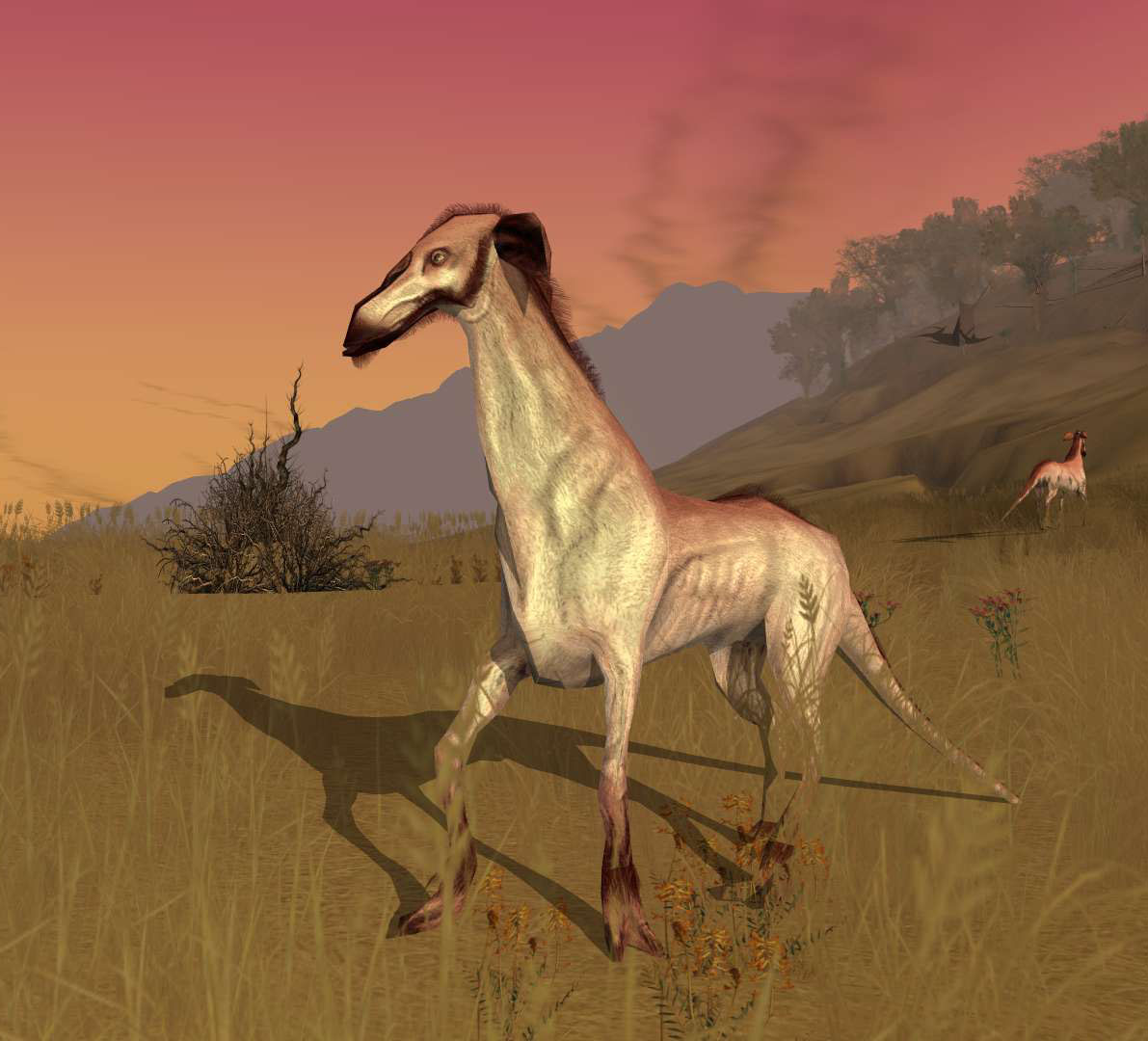 Krahbu appearance 