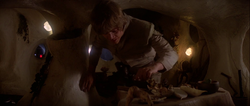 Luke removes the snake