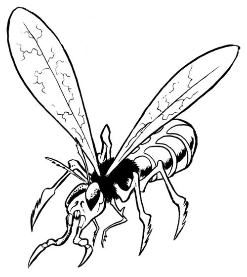 Sacorrian grain fly