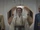 Mothma family