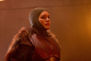 Emily-Swallow-Armorer