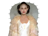 Jubilation dress