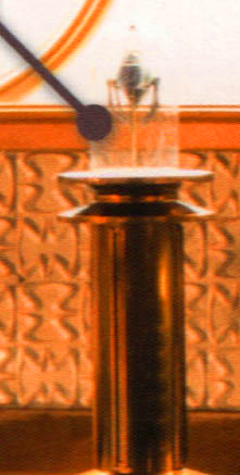 Droch appearance 