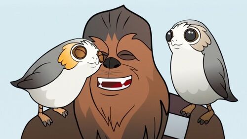 FODPorgs