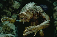 Jabba's Rancor - Huisdier