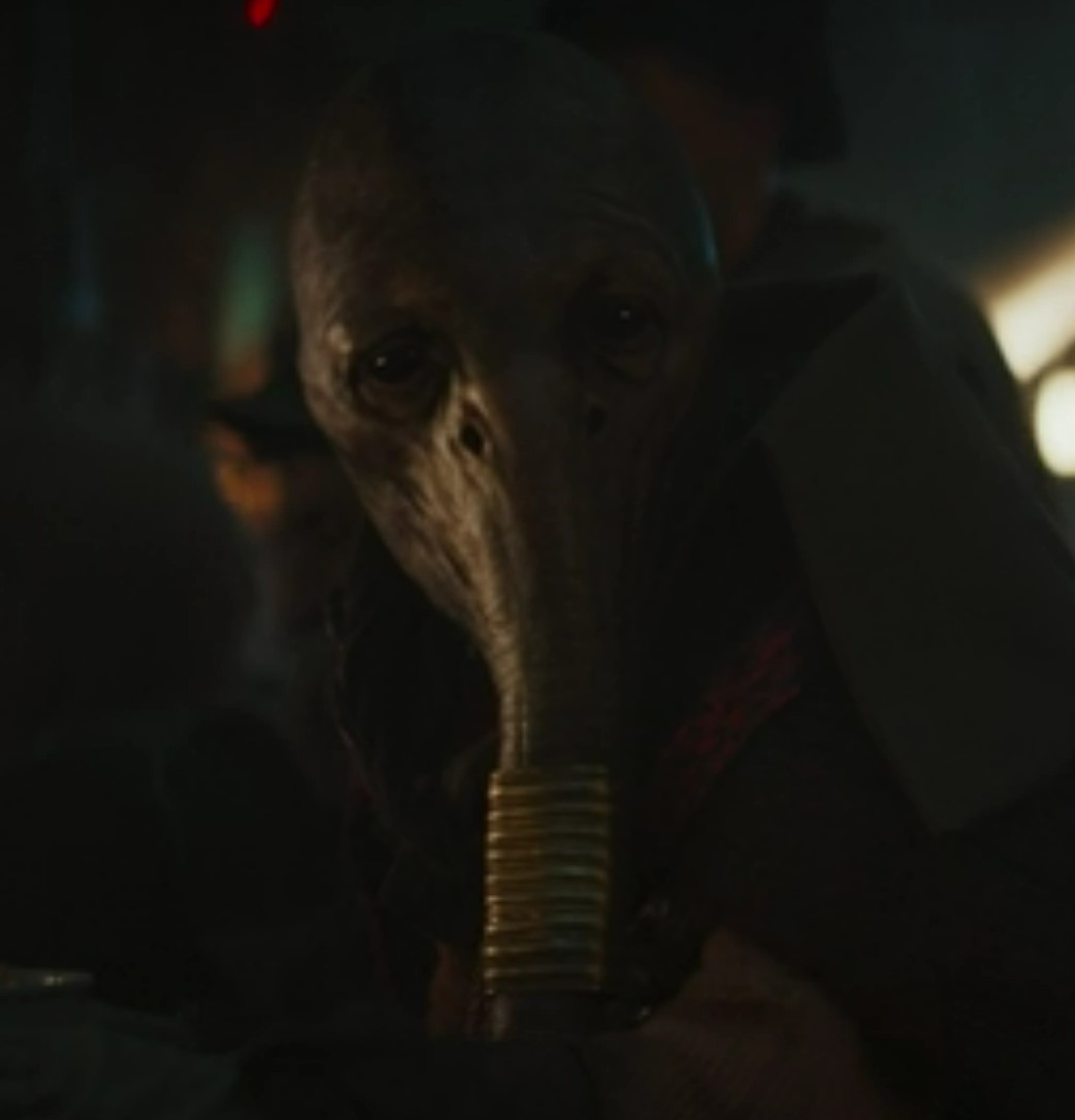 Unidentified noodle eater appearance 