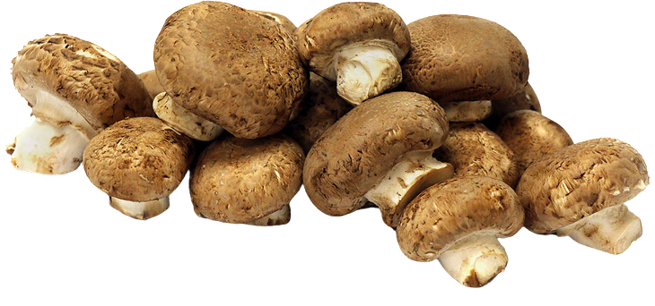 Cremini mushrooms were used to represent balo mushrooms in an out-of-universe recipe.