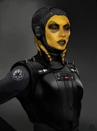Concept design by B. Matyas[22]