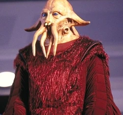 ZilTopur