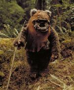 Wicket rotj