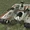 T4-B heavy tank