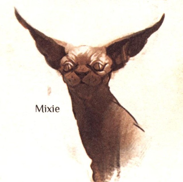 Mixie appearance in Common Appearance