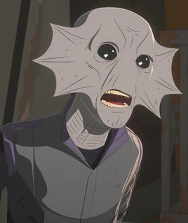 Oplock-ThePlatformClassic