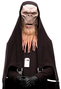 DobarnTren-SWCT
