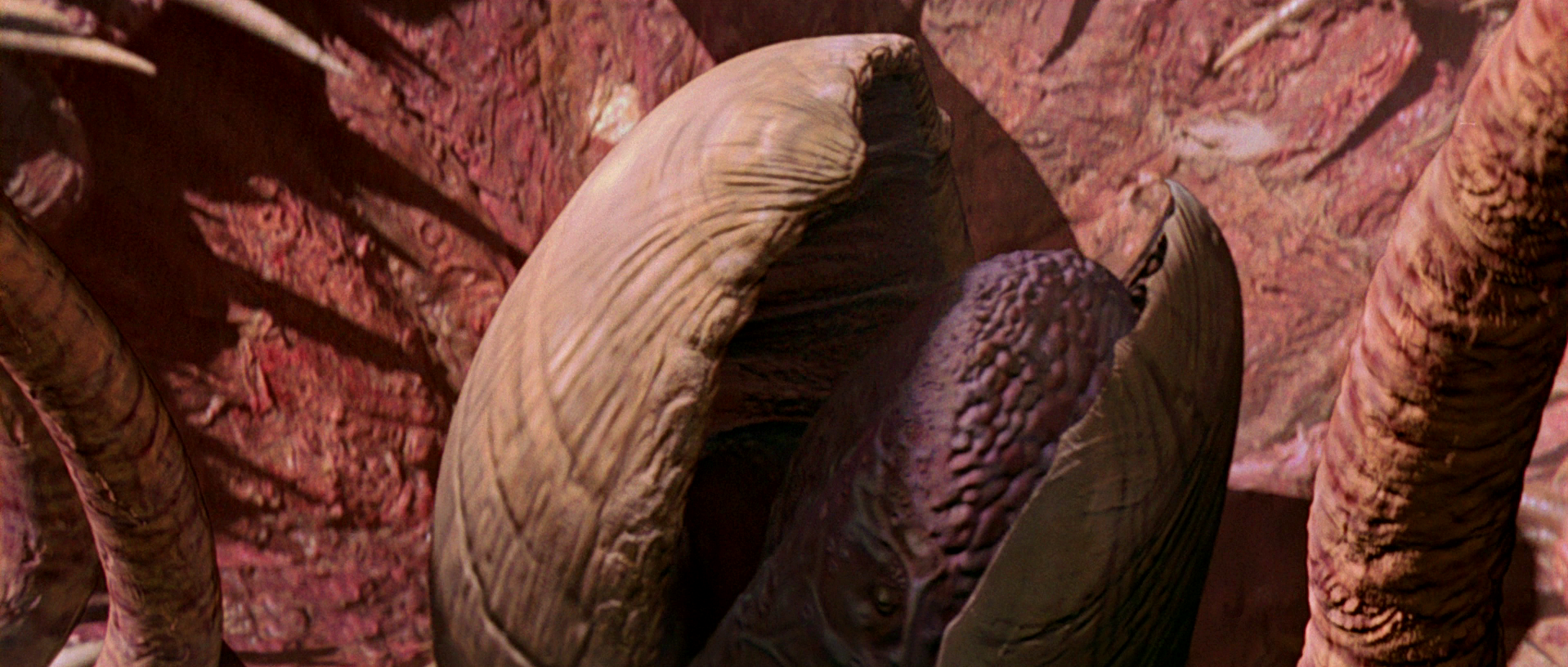 The sarlacc's tongue