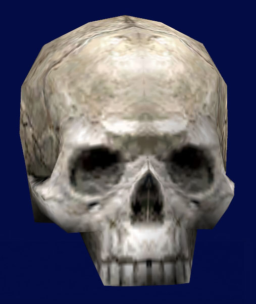 Chieftain's skull appearance in Common Appearance