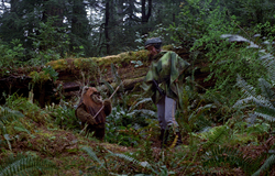 WicketMeetLeia-ROTJ