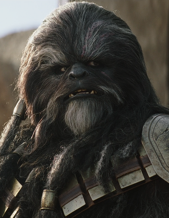 クルルサンタン | Wookieepedia | Fandom クルルサンタン | Wookieepedia | Fandom