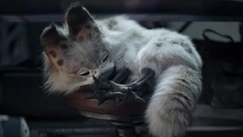 MurleySleeping-AhsokaS1