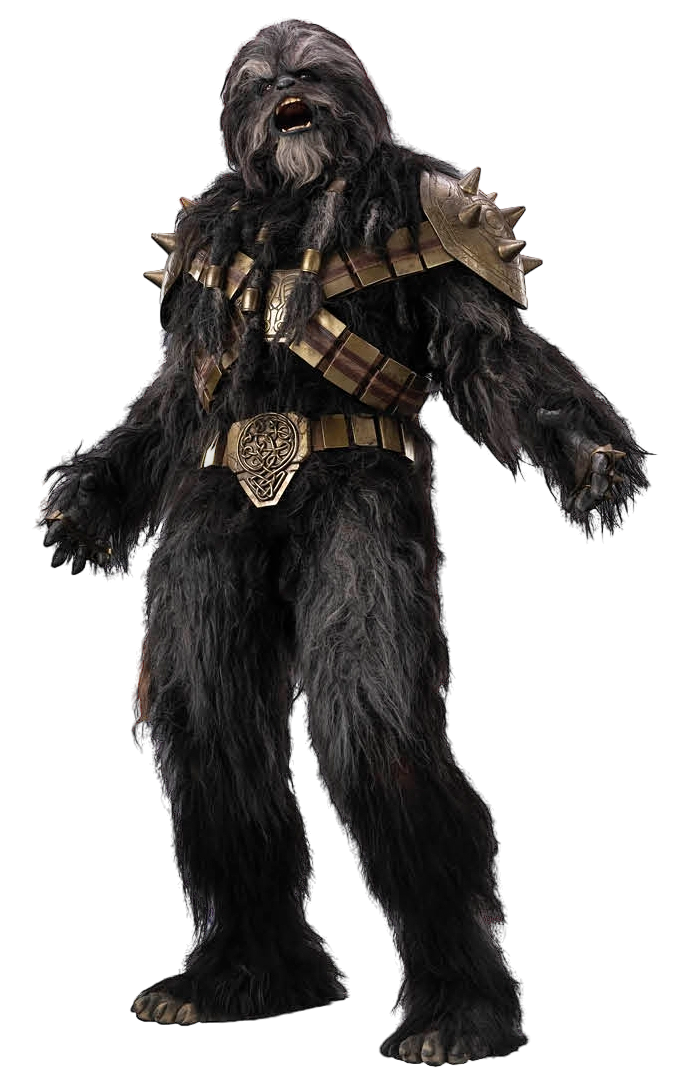 Black Krrsantan, a Wookiee bounty hunter active during the New Republic era