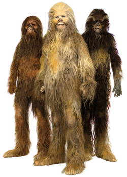 WookieeTrio-MtHChewbacca