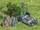Carbonsources.jpg
