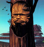 ChewbaccaMemorial-Chewbacca2