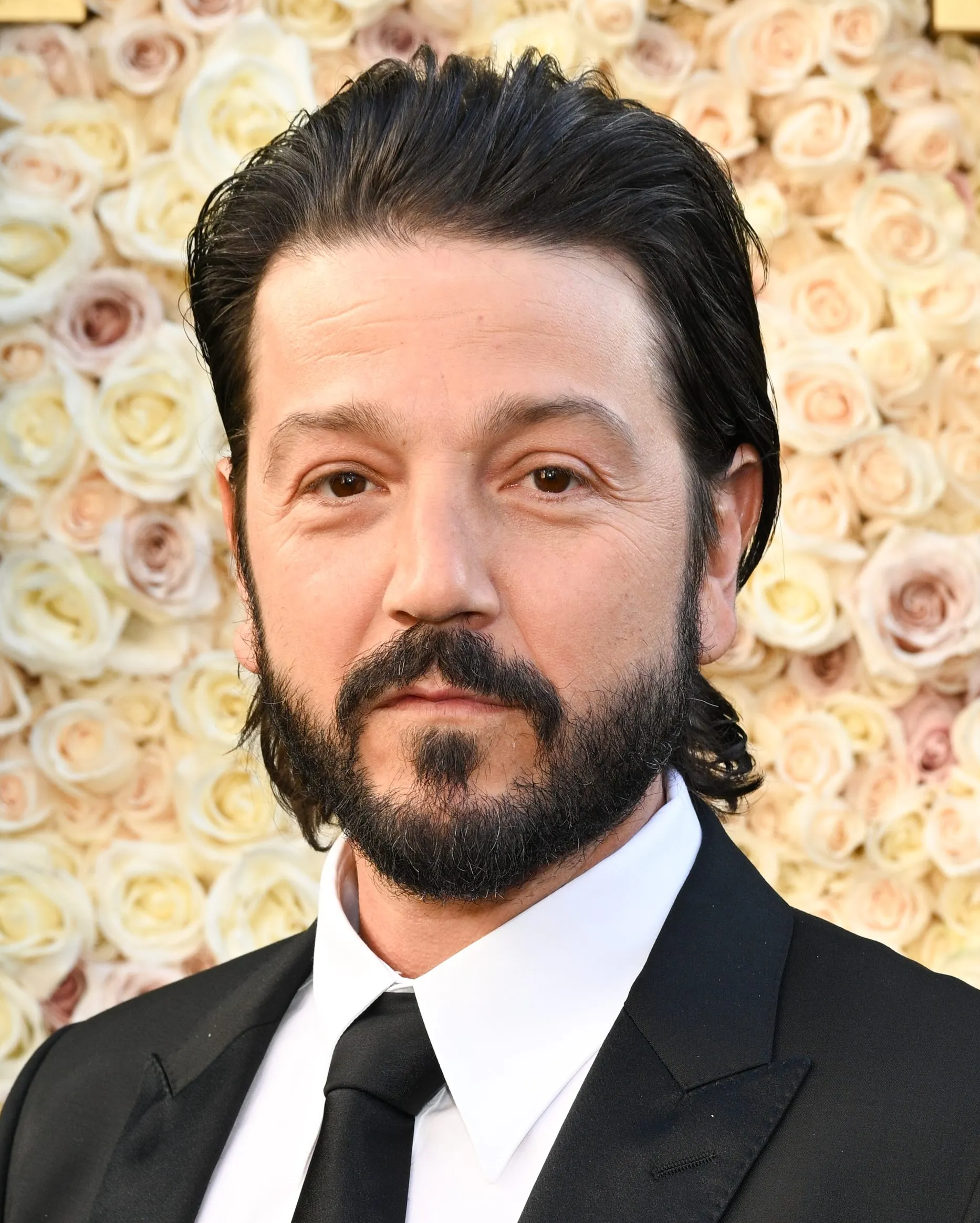 Diego Luna appearance 