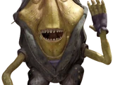 Ben Quadinaros