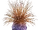 Spine fluff