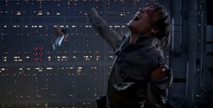 Luke Skywalker lost both his father's lightsaber and his right hand.